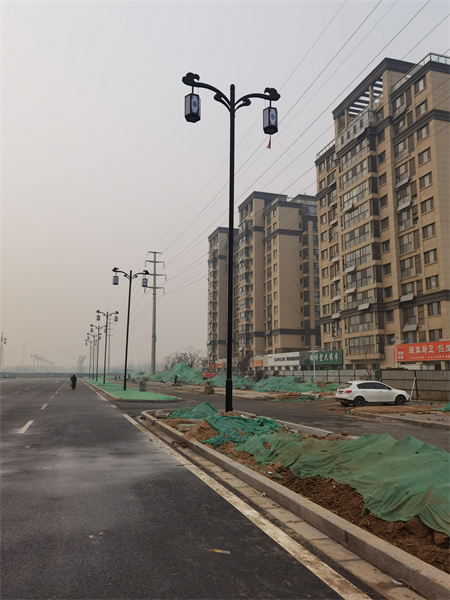 山東茄子视频下载APP廠家供應